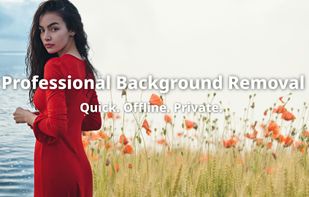 QuickRemove screenshot 1