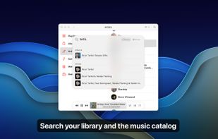 QuickTunes screenshot 2