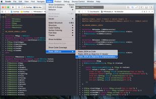 quicktype screenshot 2
