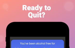 Quit Drinking screenshot 1