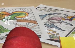 Quiver-3D Coloring App screenshot 2