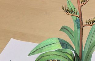 Quiver-3D Coloring App screenshot 1