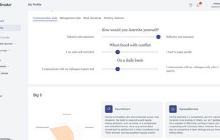 Workstyle & Personality Profiles