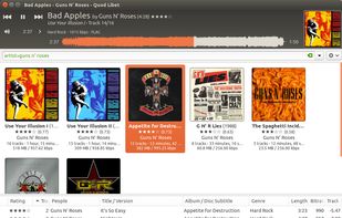 The cover grid browser, giving an even more visual anchor for libraries