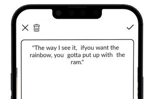 Type your Quote text here