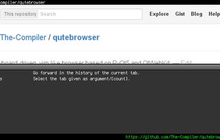 qutebrowser screenshot 1