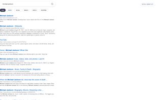 search result examples
