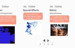 One click site create: theme selection