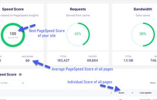 RabbitLoader Dashboard.