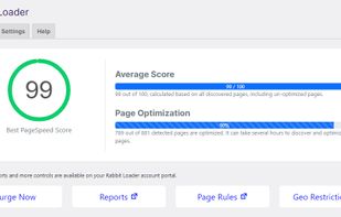 Google Page speed score after using RabbitLoader.