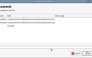 Action/Notification Window
