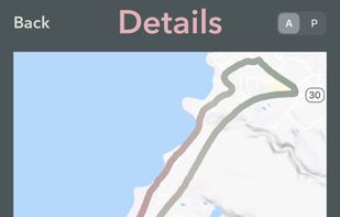 RaceRunner screenshot 1