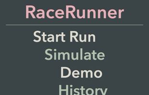 RaceRunner screenshot 2