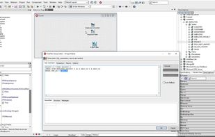 RAD Studio screenshot 1