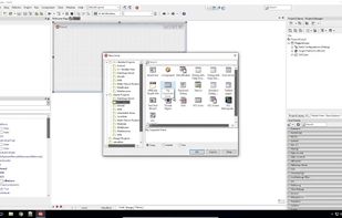 RAD Studio screenshot 1
