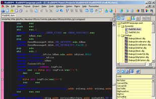 RadASM screenshot 1