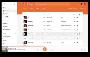 Radiant Player screenshot 1