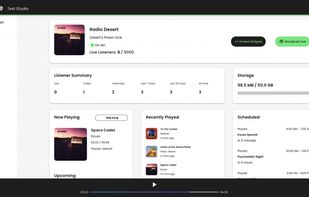 Radiolize screenshot 1