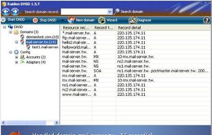 RaidenDNSD screenshot 1
