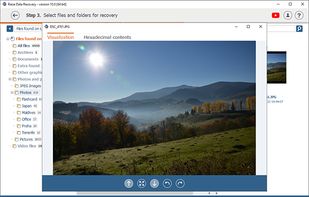 File preview in Raise Data Recovery