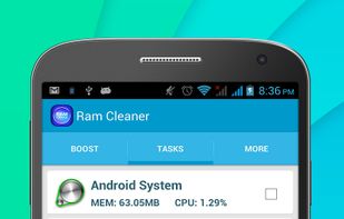 Ram Cleaner screenshot 1