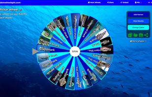 Shark Picker Wheel - shows facts about sharks