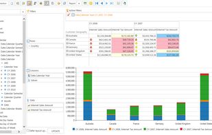 Ranet OLAP screenshot 1