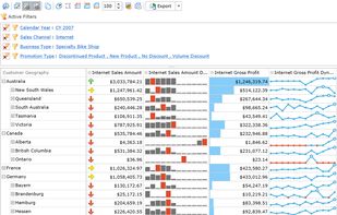 Ranet OLAP screenshot 2