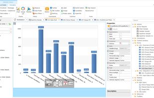 Ranet OLAP screenshot 1