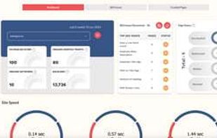 RanksPro.io screenshot 3