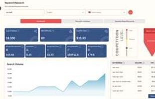 RanksPro.io screenshot 1