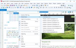Rapid CSS Editor screenshot 3