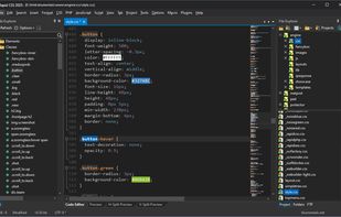 Rapid CSS Editor screenshot 1
