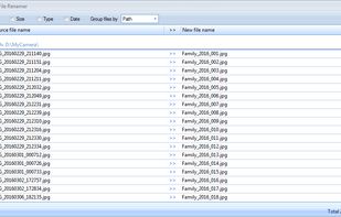 Rapid File Renamer screenshot 1