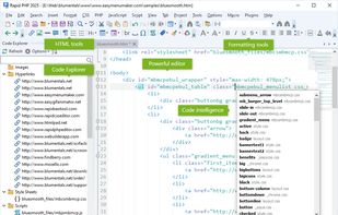 Rapid PHP screenshot 2