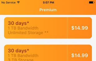 Rapidgator.net screenshot 2
