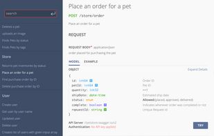 RapiDoc screenshot 2