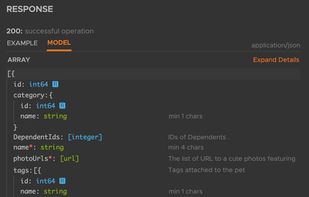 RapiDoc screenshot 1