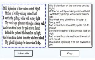 RapidOCR screenshot 1