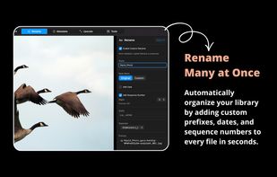 RapidPhoto screenshot 2