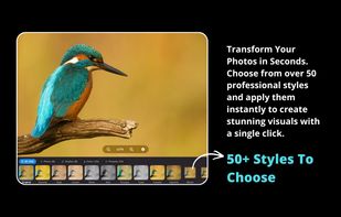 RapidPhoto screenshot 3