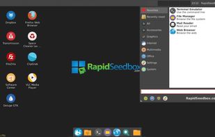 RapidSeedbox.com screenshot 1