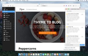 Website Health check, along with SEO support.