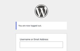 Sign in with a passkey from the normal WordPress login screen.