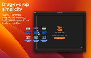 RasterFox screenshot 1