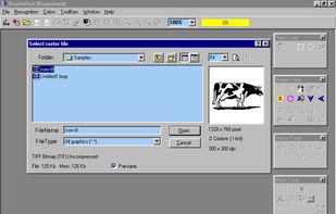 RasterVect screenshot 1