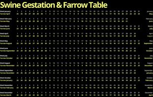 RatedCalculator.com screenshot 1