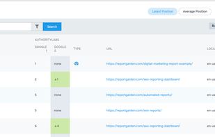 Raven Tools screenshot 3