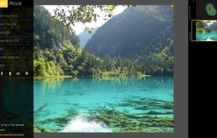 interface in free version.