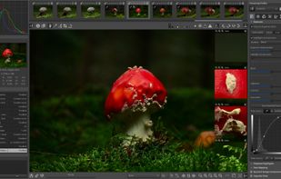RawTherapee screenshot 3